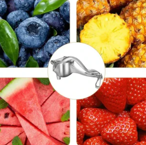 Exprimidor Metálico De Frutas