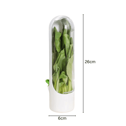 Contenedor para guardar verduras y hierbas frescas