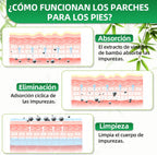 Parches Desintoxicantes Naturales - Kinoki Detox™