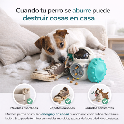 Robot Dispensador Didactico Para Mascotas