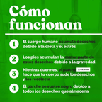 Parches Desintoxicantes Naturales - Kinoki Detox™