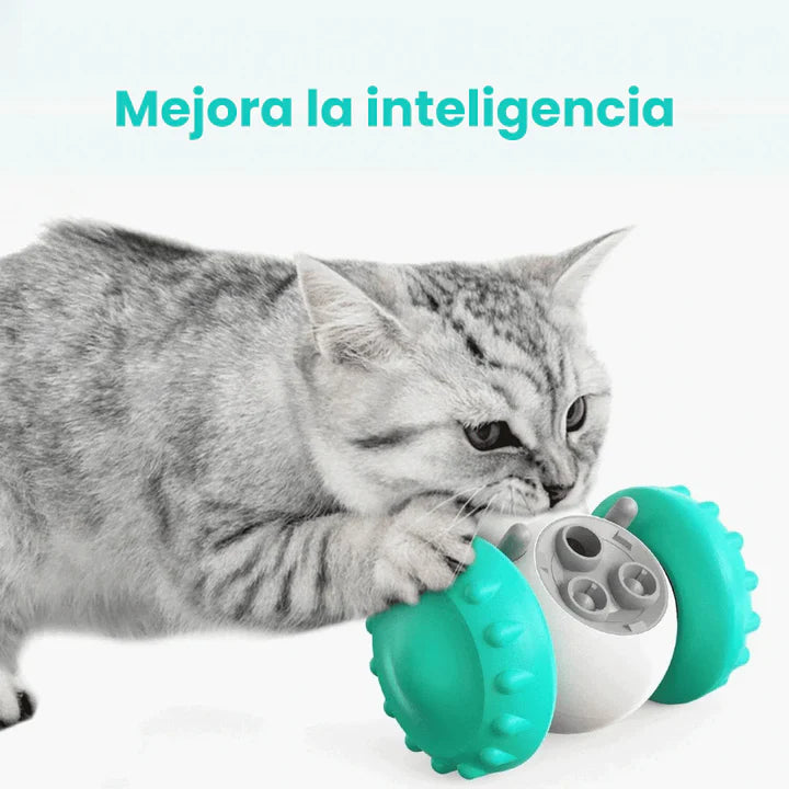 Robot Dispensador Didactico Para Mascotas