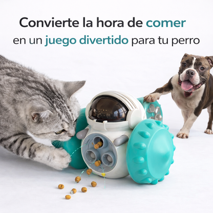 Robot Dispensador Didactico Para Mascotas
