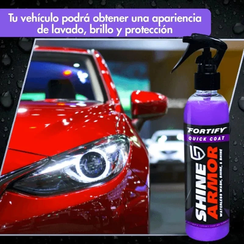 Spray Protección y Brillo
