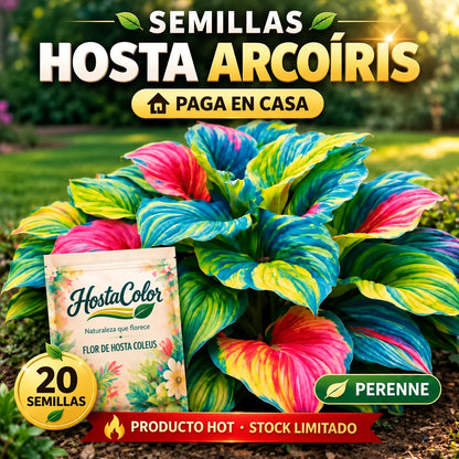 🌿Semillas de Hosta - Arcoiris de Dios 💖🔥1 paquete - 20 semillas Aprox. (5 gr.)