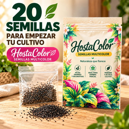 🌿Semillas de Hosta - Arcoiris de Dios 💖🔥1 paquete - 20 semillas Aprox. (5 gr.)