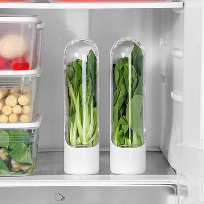 Contenedor para guardar verduras y hierbas frescas