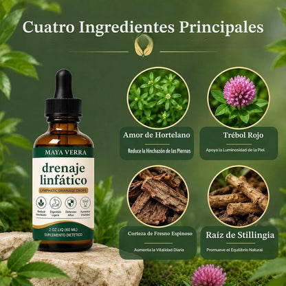 Gotas de Drenaje Linfático y Bienestar Corporal